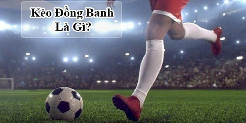 Giới thiệu kèo chấp đồng banh