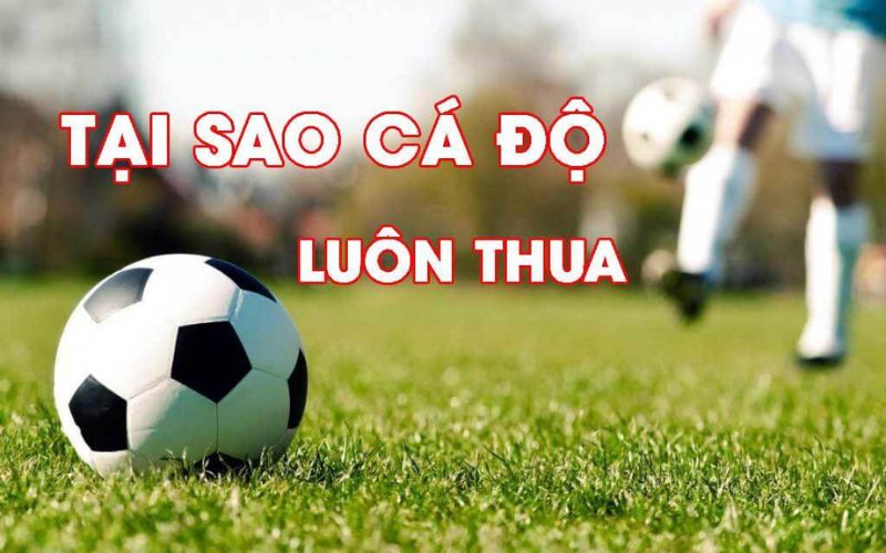 giải mã cá độ luôn thua